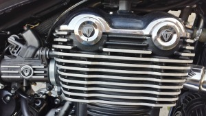 Thunderbird Gel Badge's from Triumph Custom Parts